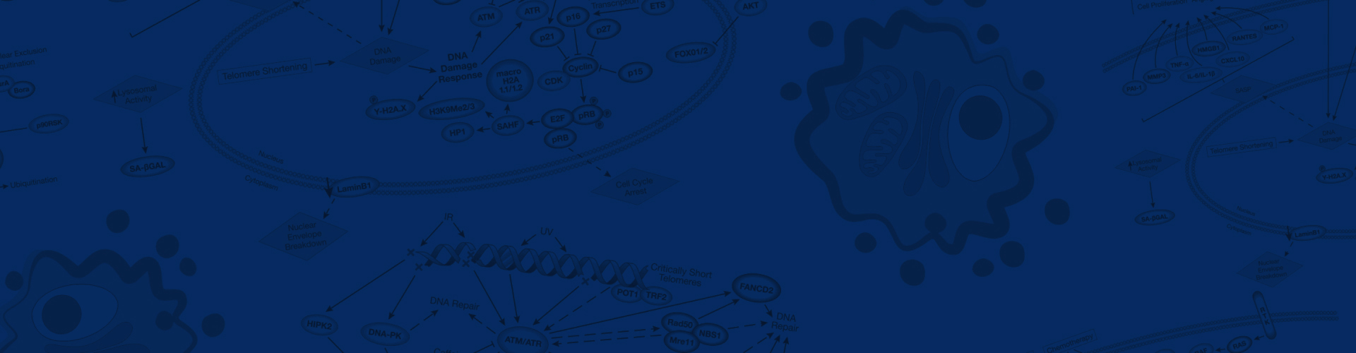 CST產(chǎn)品資訊